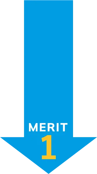 merit 1