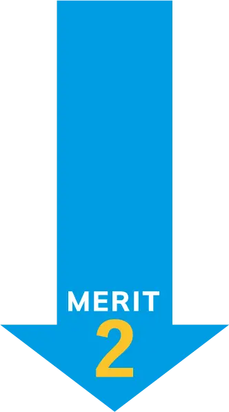 merit 2