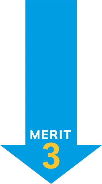 merit 3